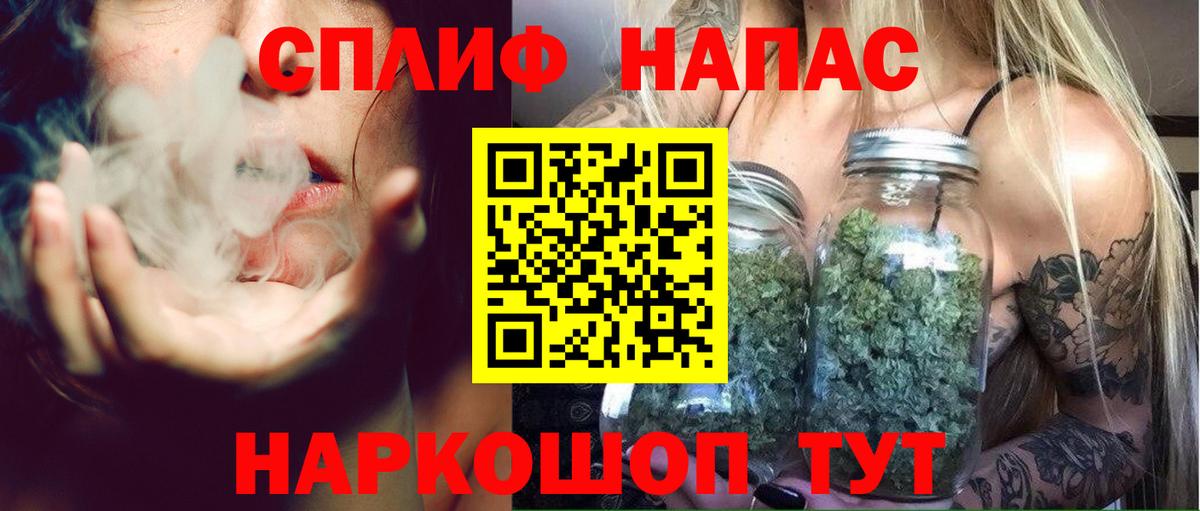 Конопля планчик  Бошки марихуана индика  Вход с VPN  Прокопьевск  Конопля Ganja 